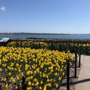 Meet your Posher, Malvina